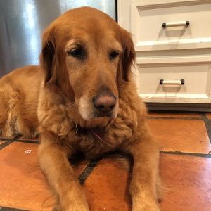 Meet your Posher, Robyn